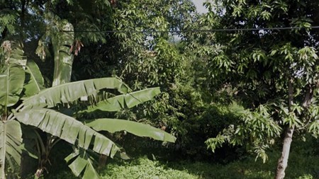 Tanah Komersial di Parung Jaya, Karang Tengah, Tangerang, 10 Menit ke Metland Puri, Green Lake City, Cocok untuk Cluster Rumah /Gudang  