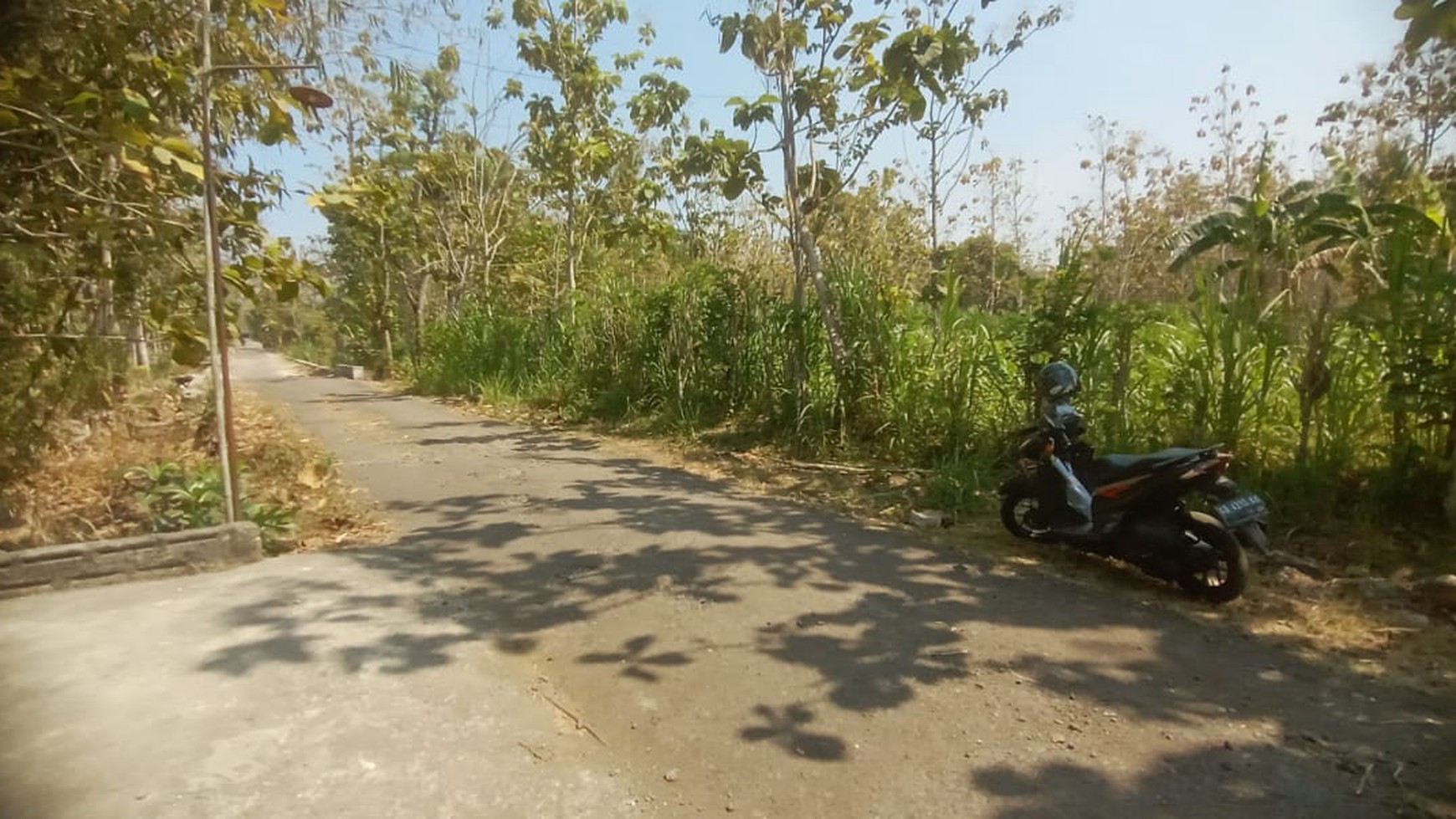 Tanah Luas 4877 Meter Persegi Lokasi Playen Wonosari GunungKidul 