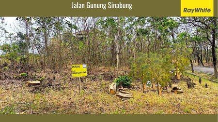 Tanah Kavling Residential Di Gunung Sinabung Taman Simpruk [Lippo Cikarang]