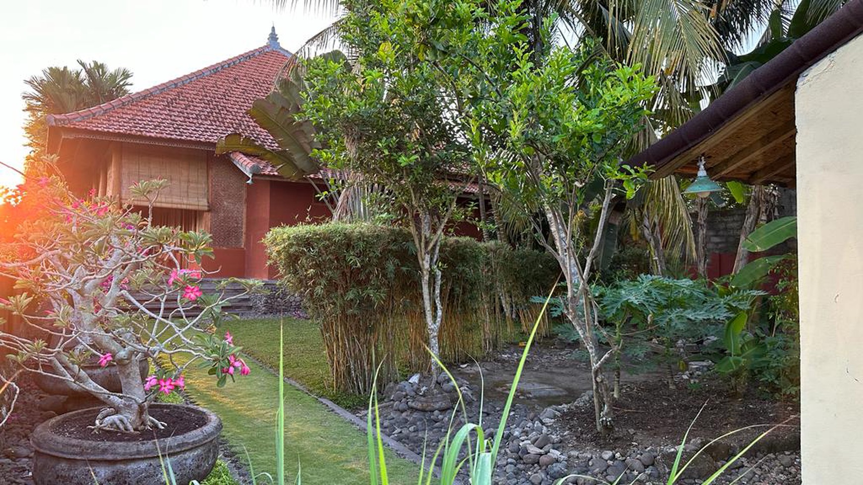 For Freehold  Medewi Bambu House and Villa  in Pulukan Area