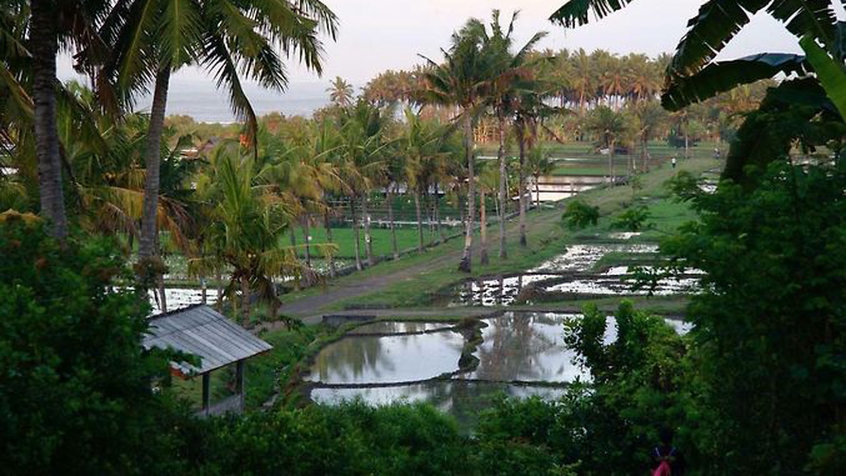 For Freehold  Medewi Bambu House and Villa  in Pulukan Area