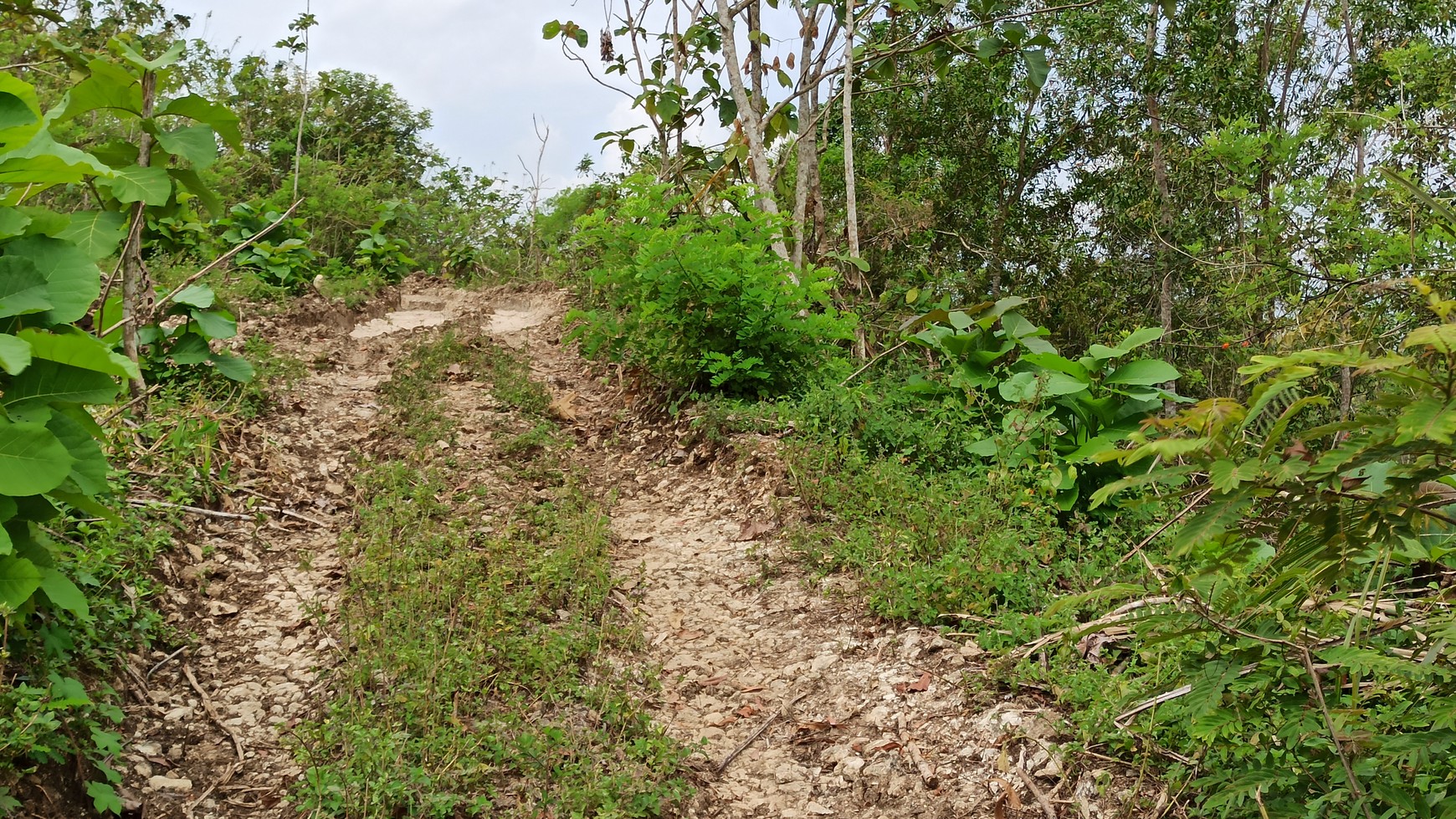 TANAH SELUAS 2176 METER PERSEGI, DI JL SEDAYU, PAJANGAN, BANTUL.