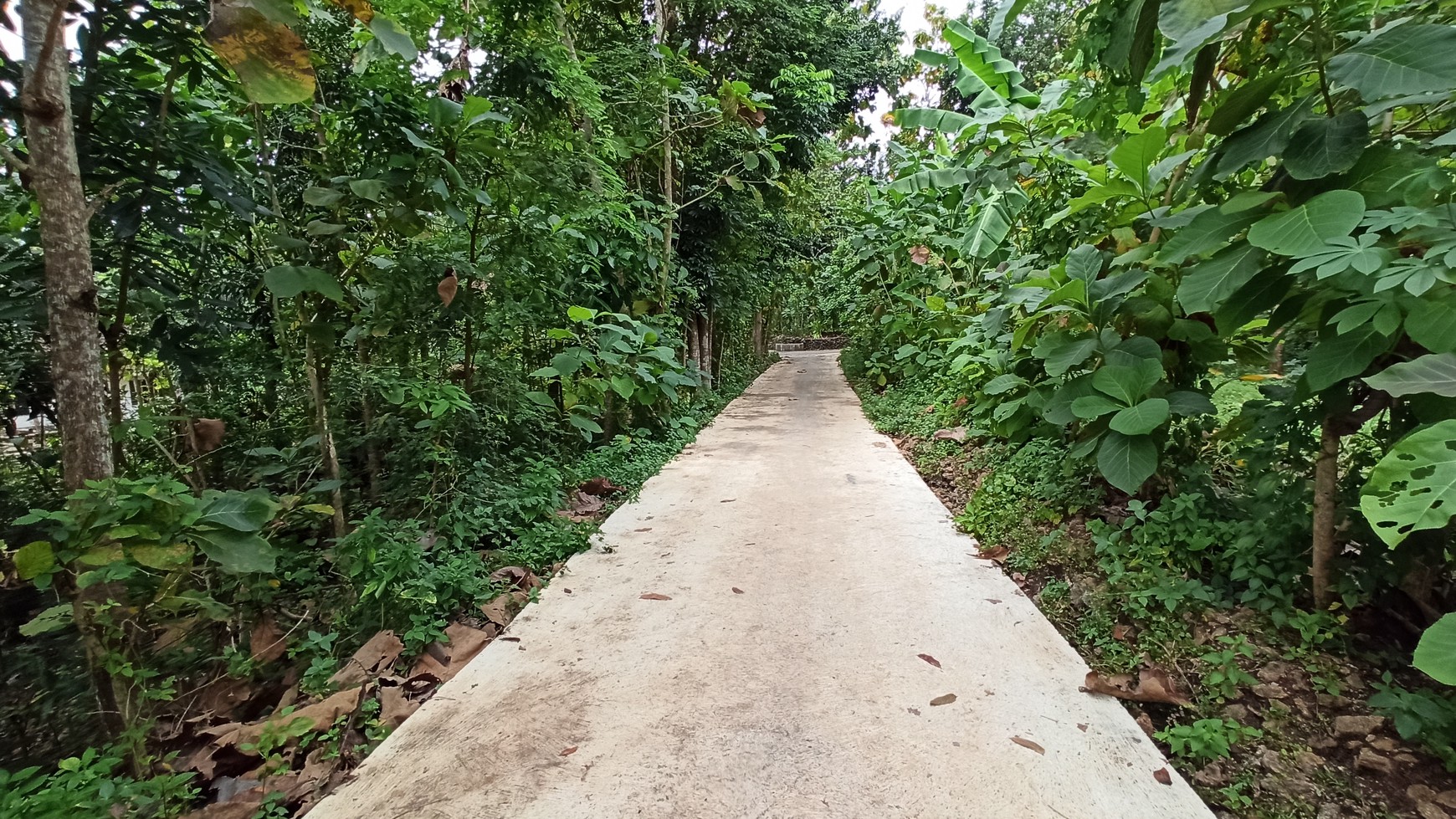 TANAH SELUAS 2176 METER PERSEGI, DI JL SEDAYU, PAJANGAN, BANTUL.