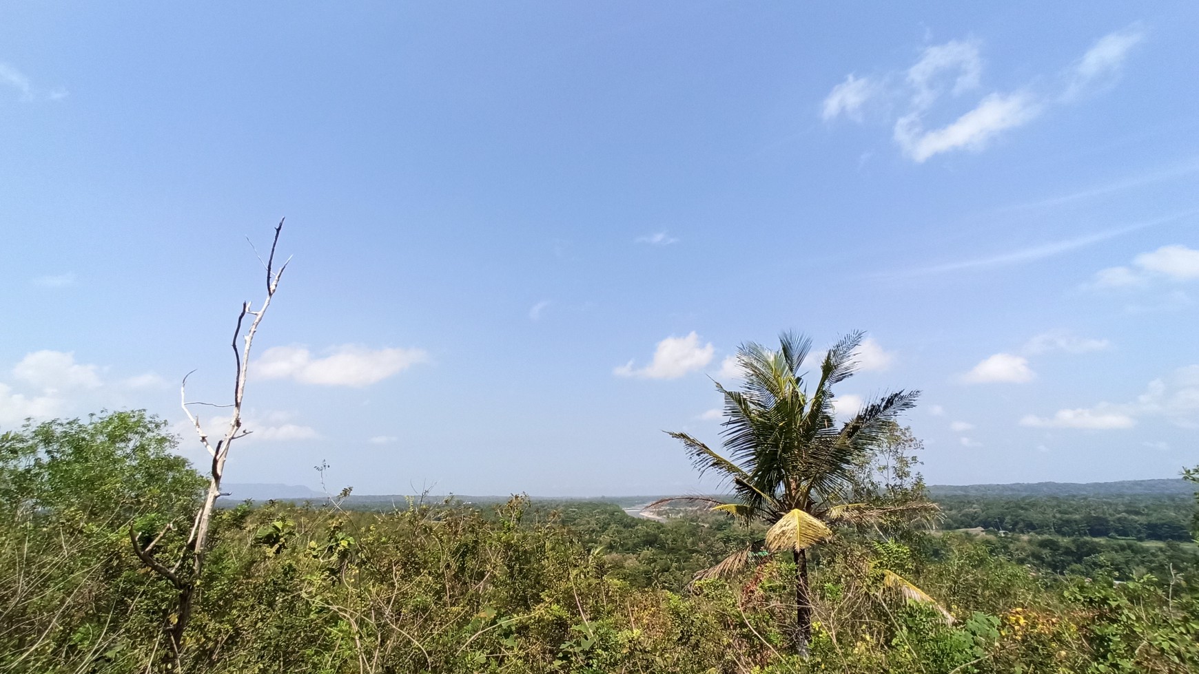 TANAH SELUAS 2176 METER PERSEGI, DI JL SEDAYU, PAJANGAN, BANTUL.