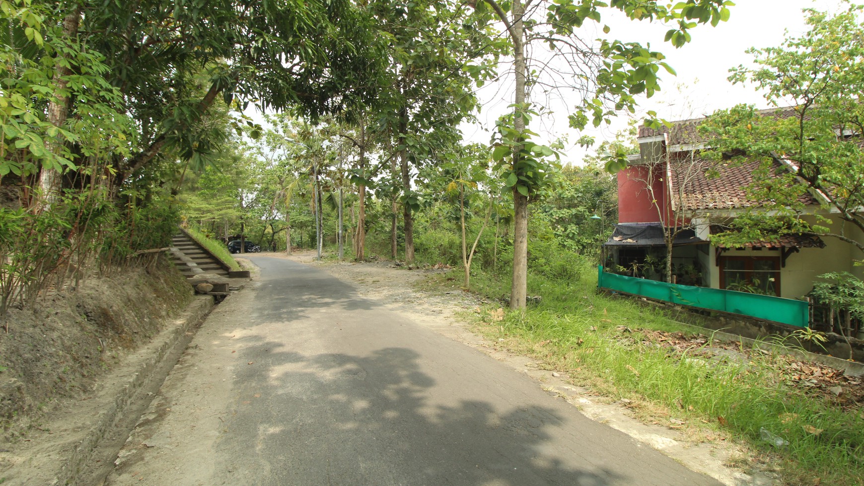 Tanah 2950 Meter Persegi Di Sedayu Bantul