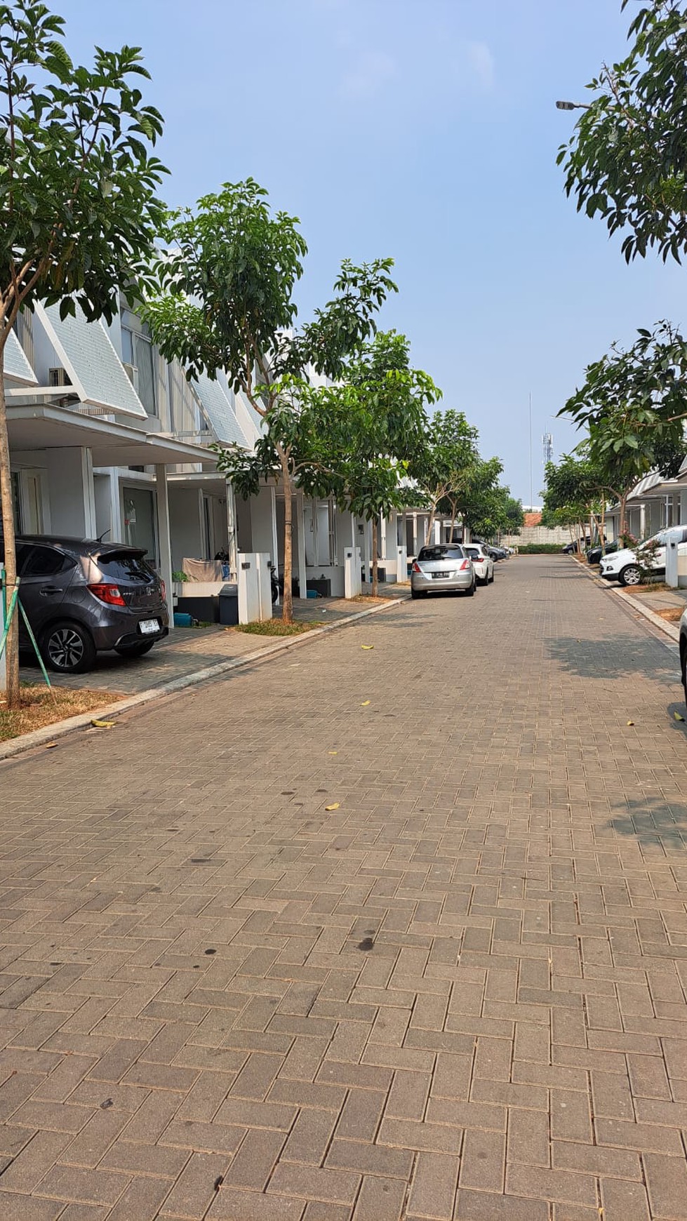 Disewakan Rumah Bagus Minimalis di Tabebuya Bsd City