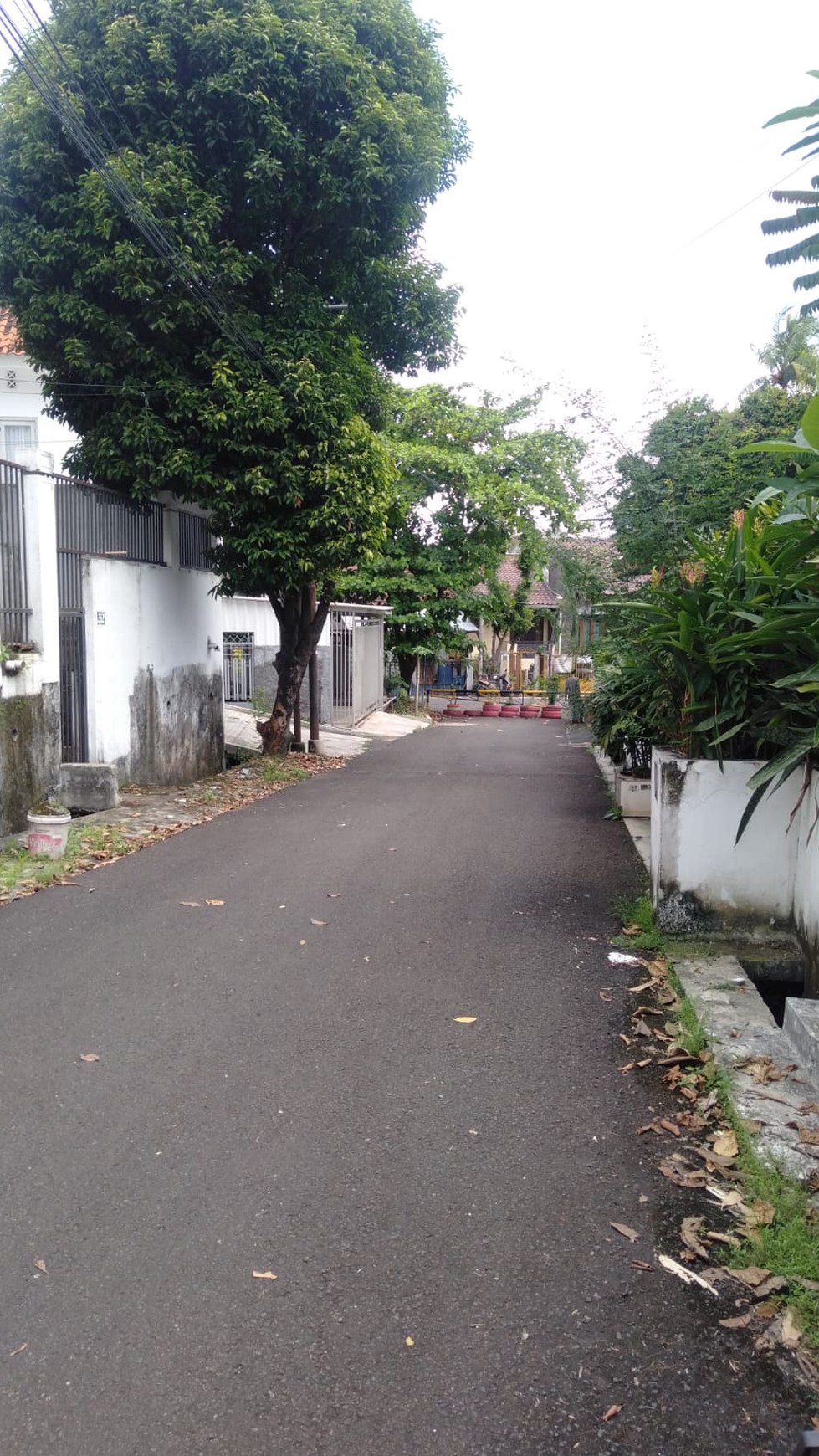 Dijual Rumah Luas Kebayoran Baru 