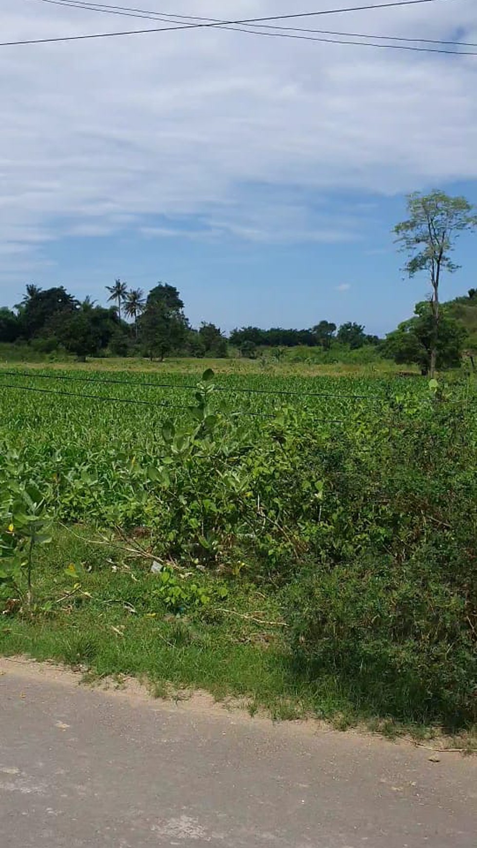 Tanah Komersil ,Kec.Praya Barat - Lombok Tengah