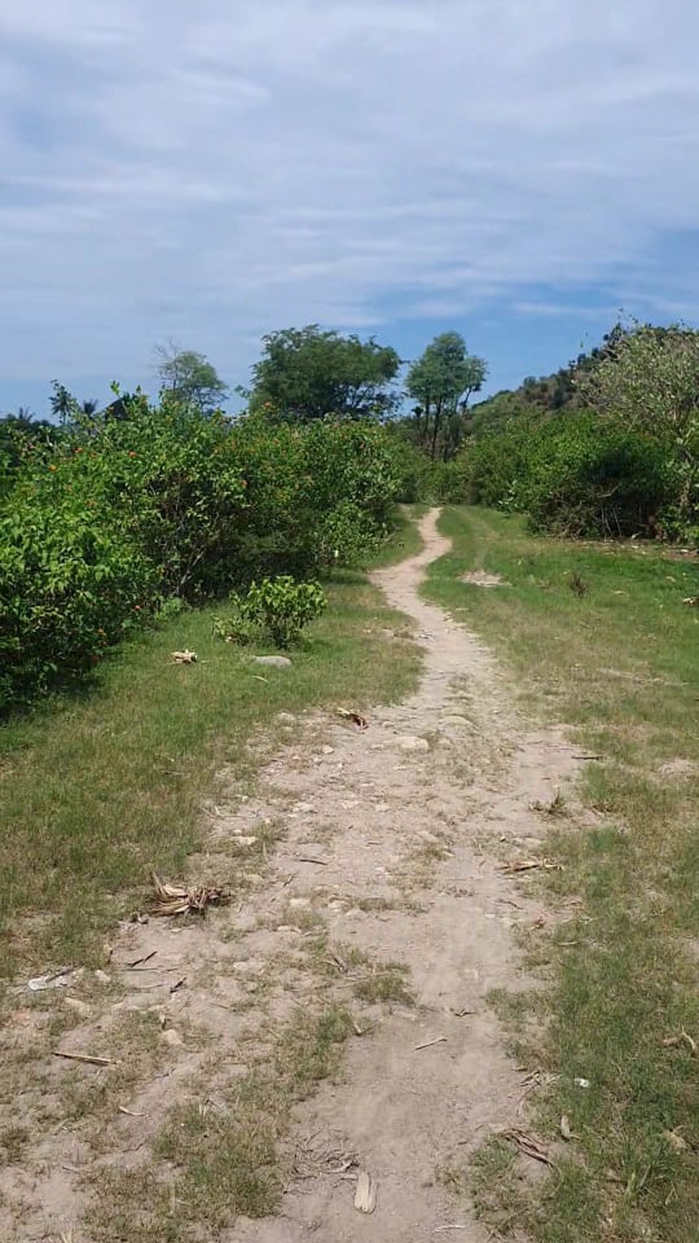 Tanah Komersil ,Kec.Praya Barat - Lombok Tengah