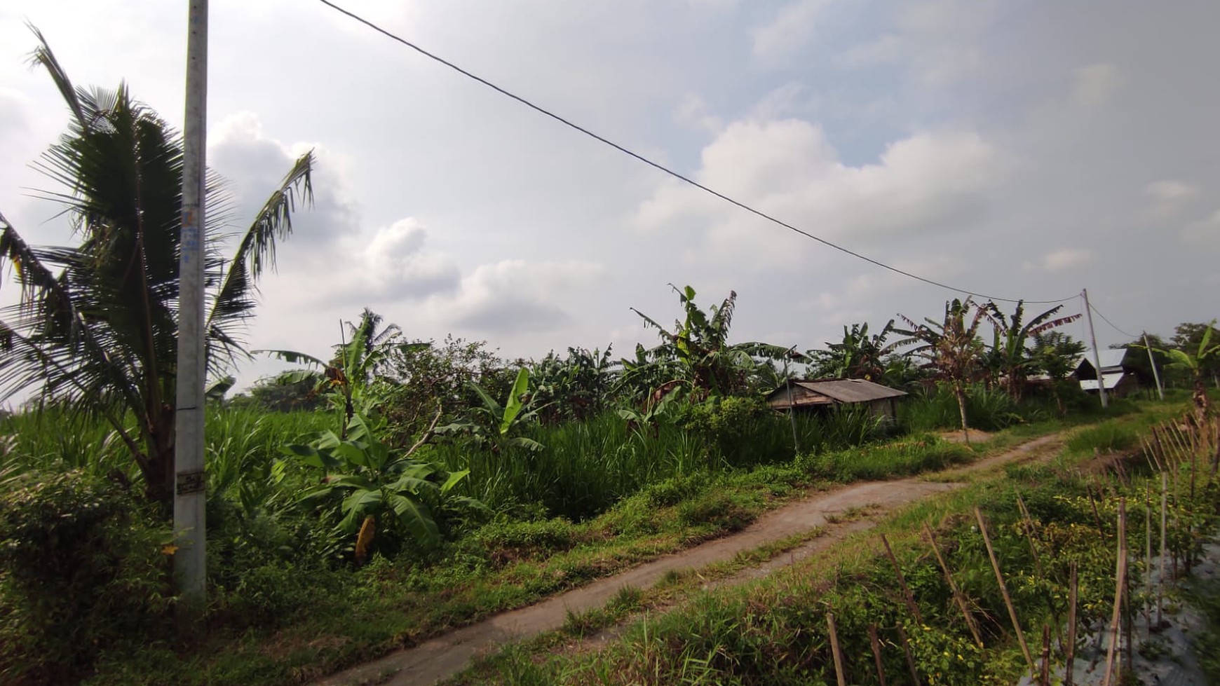 Tanah Sawah Luas 3100 Meter Persegi Lokasi Ngaglik Sleman 