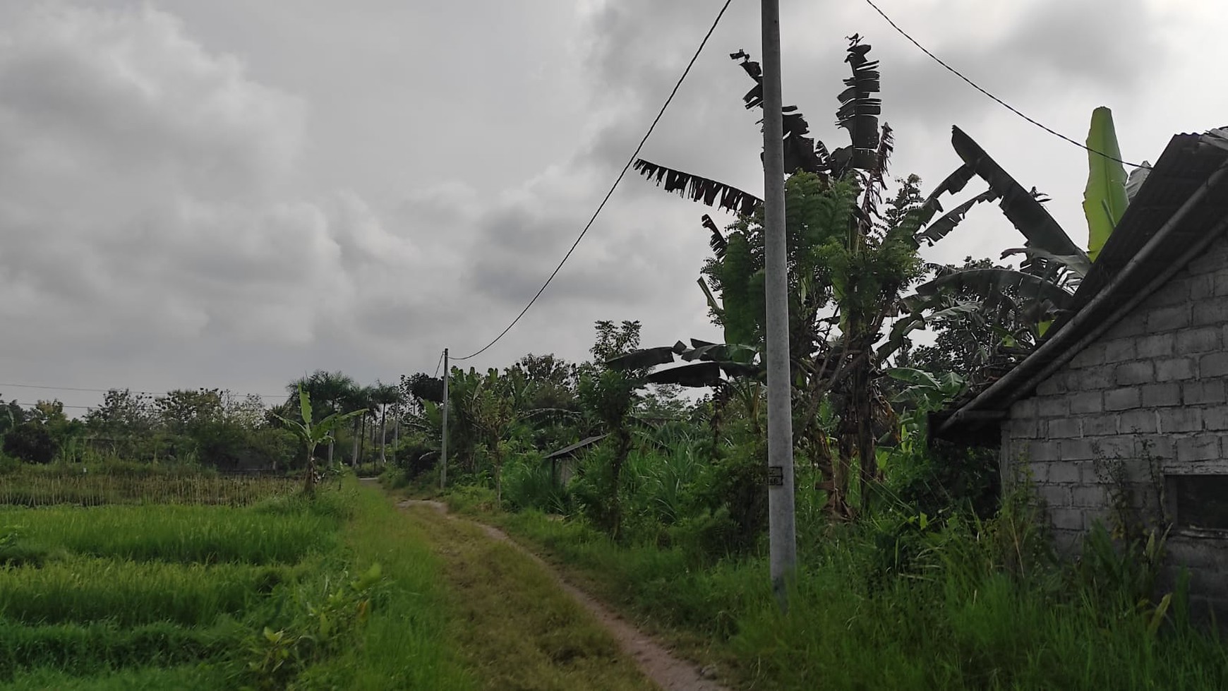 Tanah Sawah Luas 3100 Meter Persegi Lokasi Ngaglik Sleman 