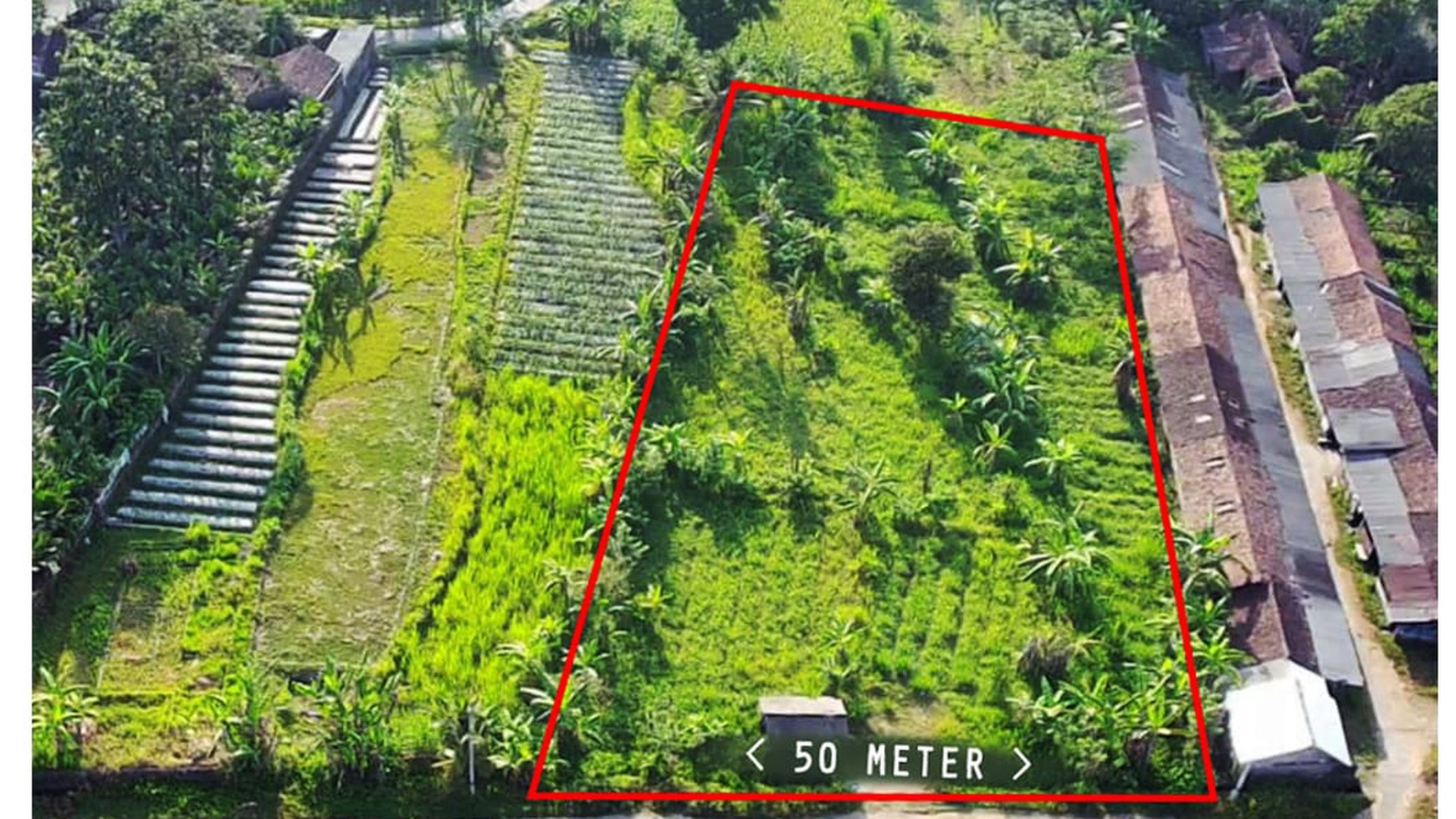 Tanah Sawah Luas 3100 Meter Persegi Lokasi Ngaglik Sleman 