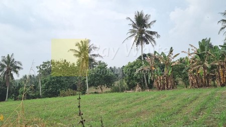 Dijual Tanah Perkebunan ai