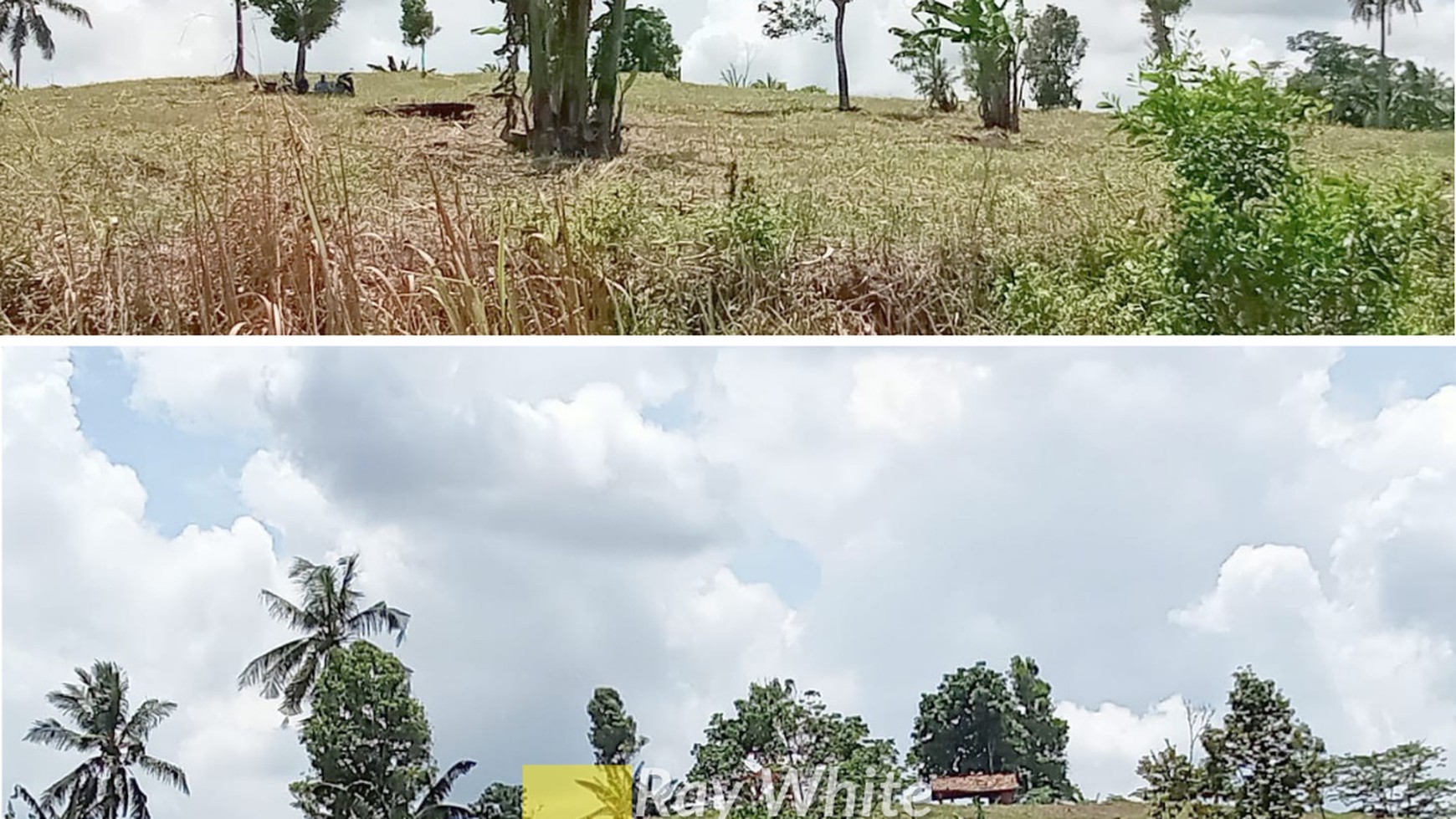 Dijual Tanah Merbau Mataram Lampung Selatan