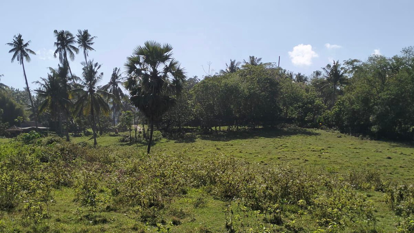 Land in front of Soan Galuh beach,Tabanan