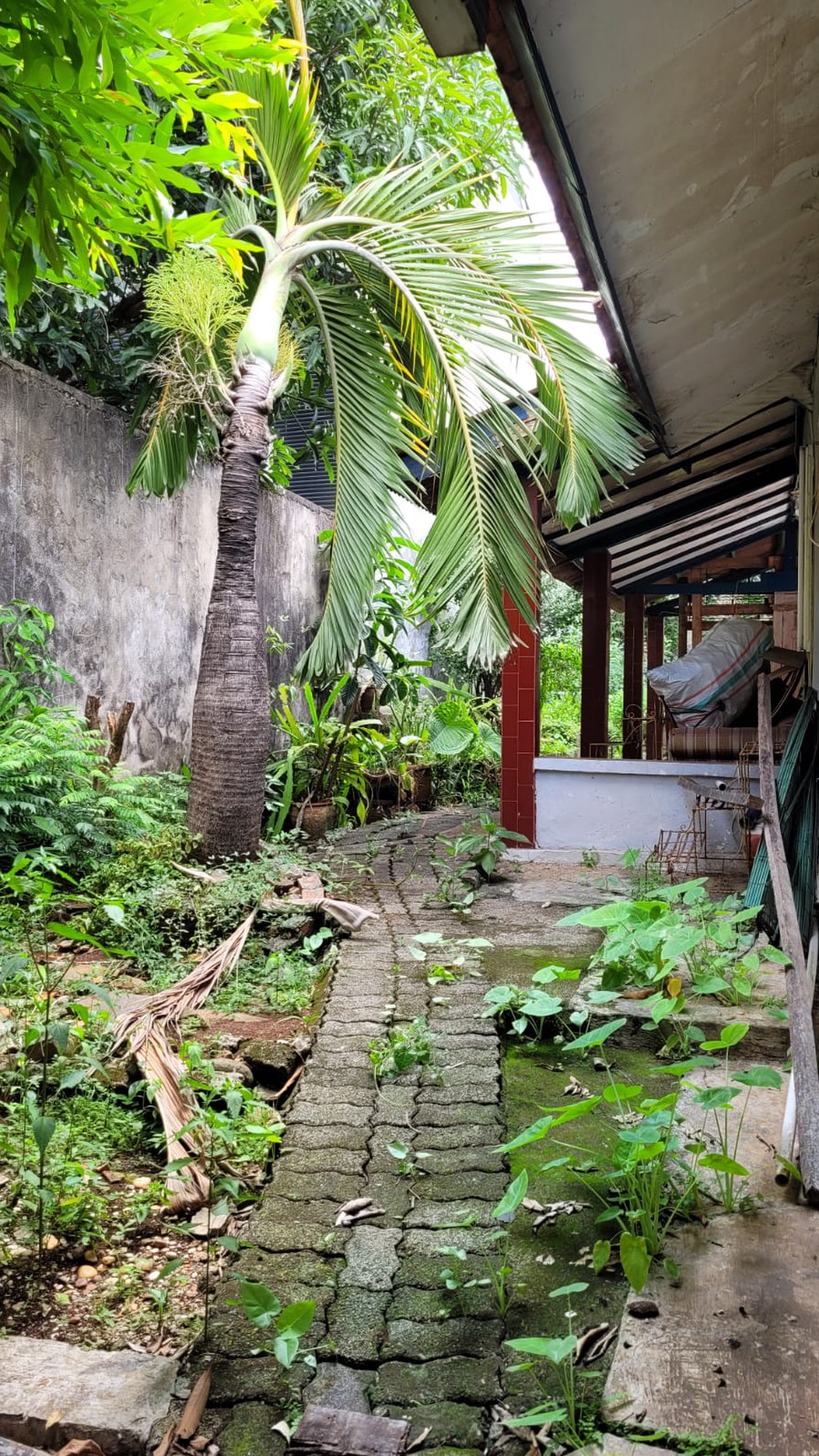 Rumah Hitung Tanah dan Strategis @Jl Rambutan, Pejaten Barat