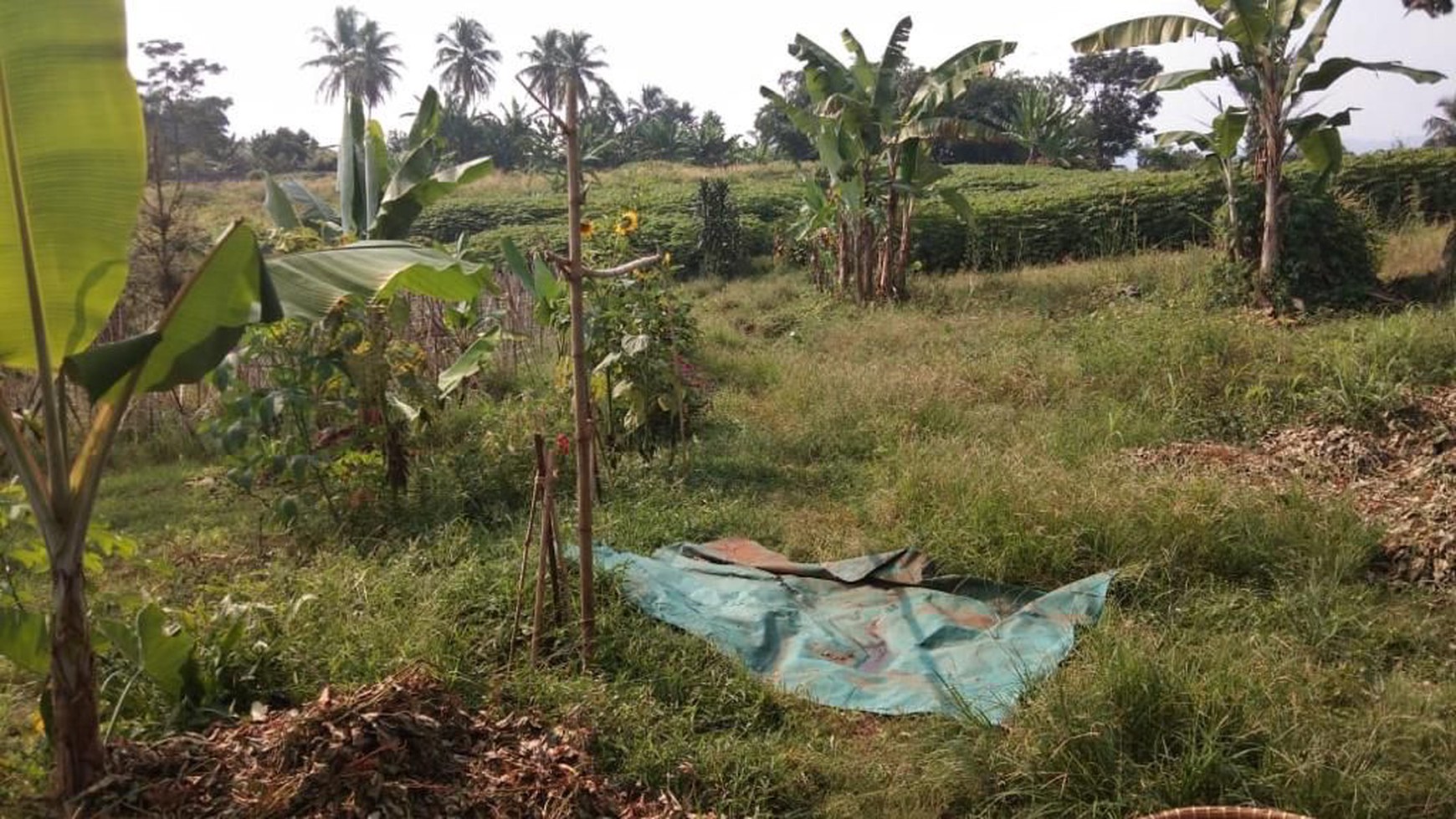 Dijual Kavling Luas di Bogor Selatan Bisa untuk bermacam macam usaha