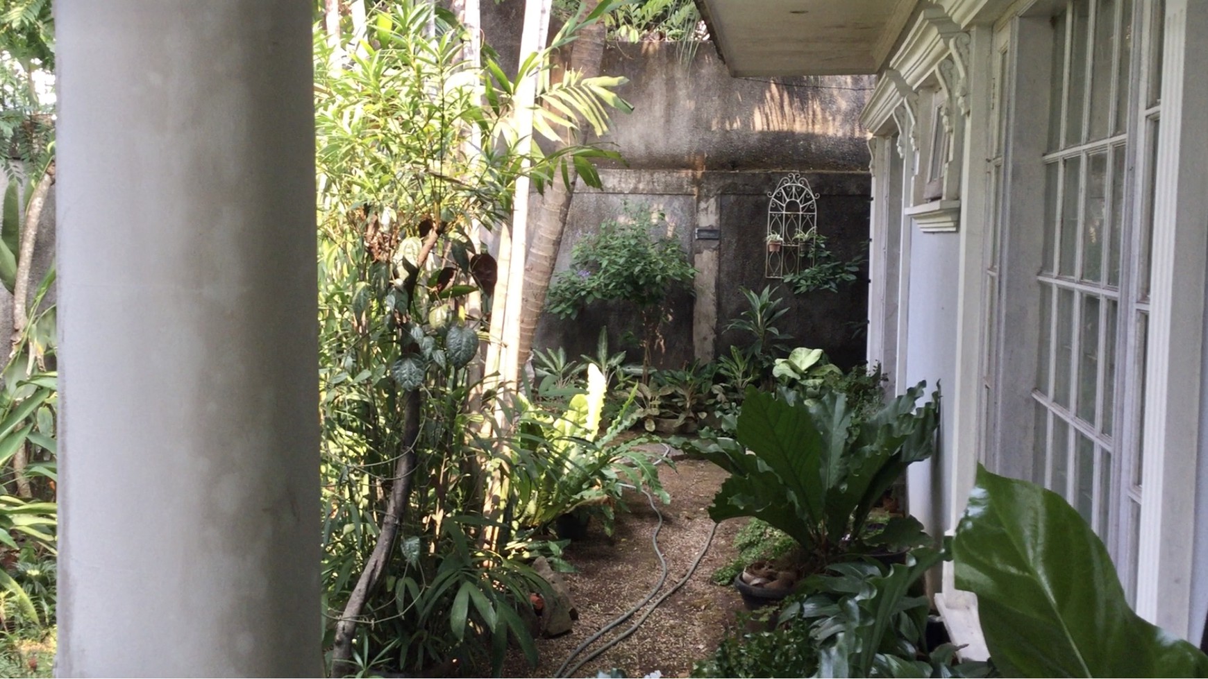 Rumah Bagus Di Jl Berlian, Cilandak Barat, Jakarta Selatan