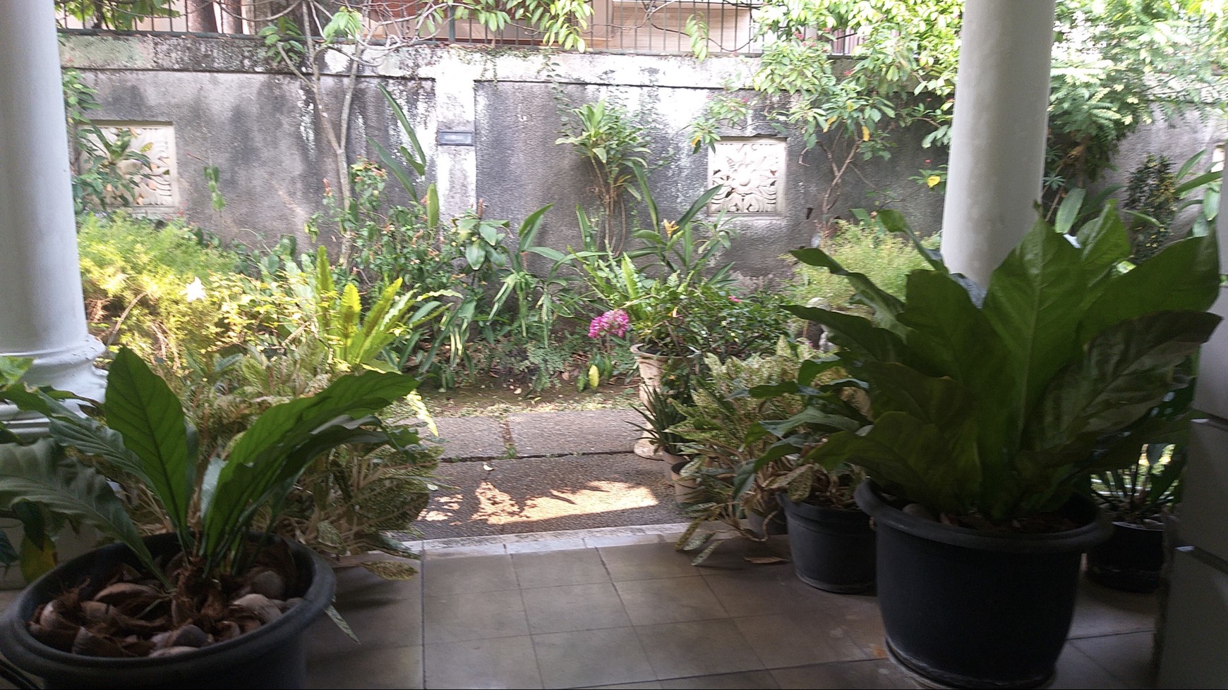 Rumah Bagus Di Jl Berlian, Cilandak Barat, Jakarta Selatan