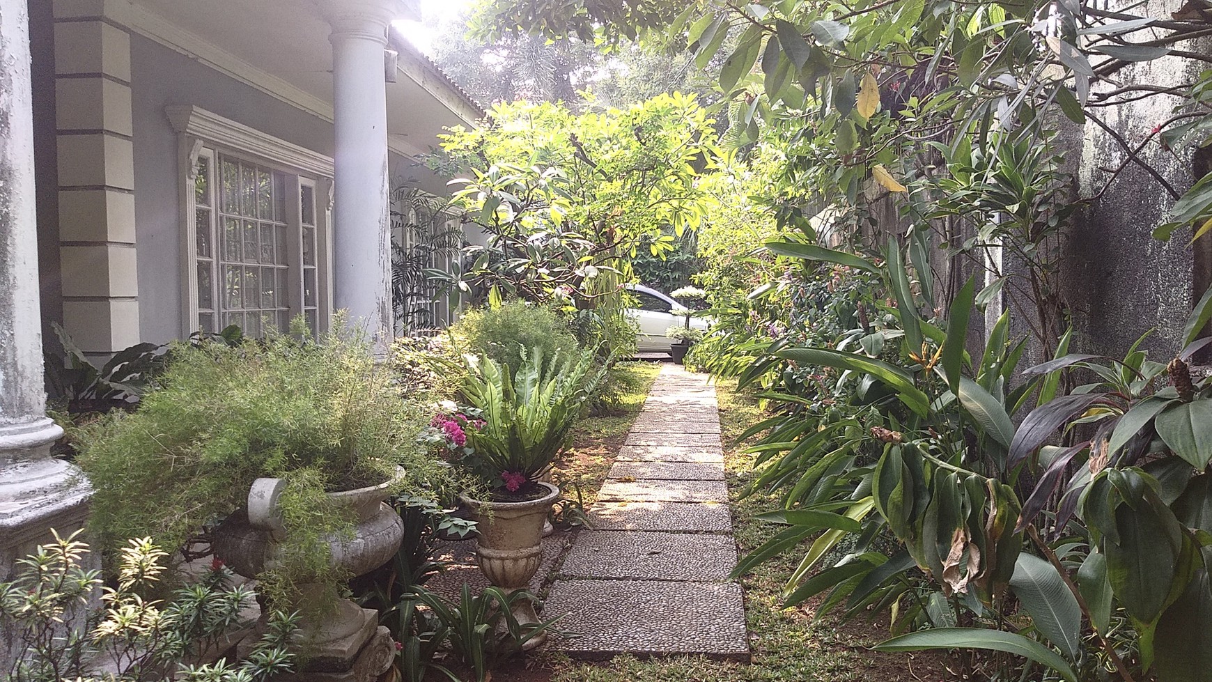 Rumah Bagus Di Jl Berlian, Cilandak Barat, Jakarta Selatan