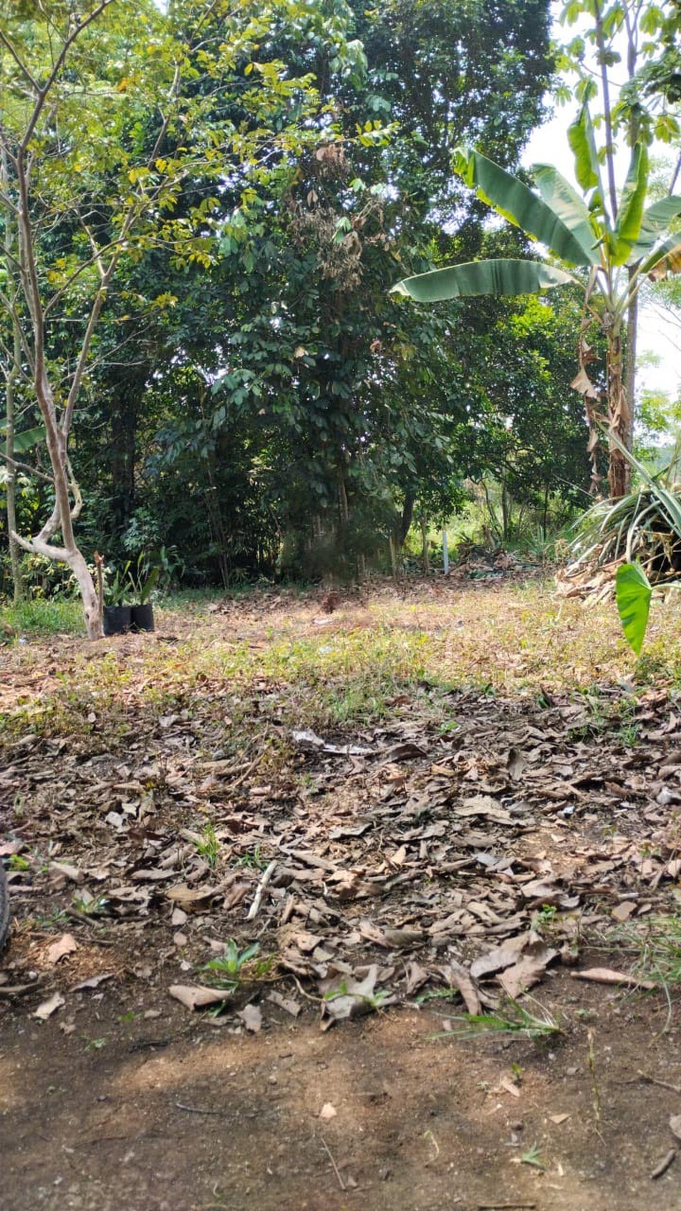 Kavling Siap Bangun dan Lokasi Strategis @Desa Mekarsari, Rumpin