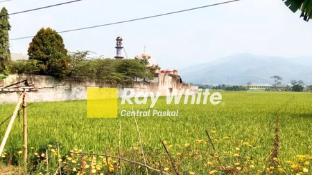 Tanah Sawah Strategis Di Mainroad Soreang Banjaran