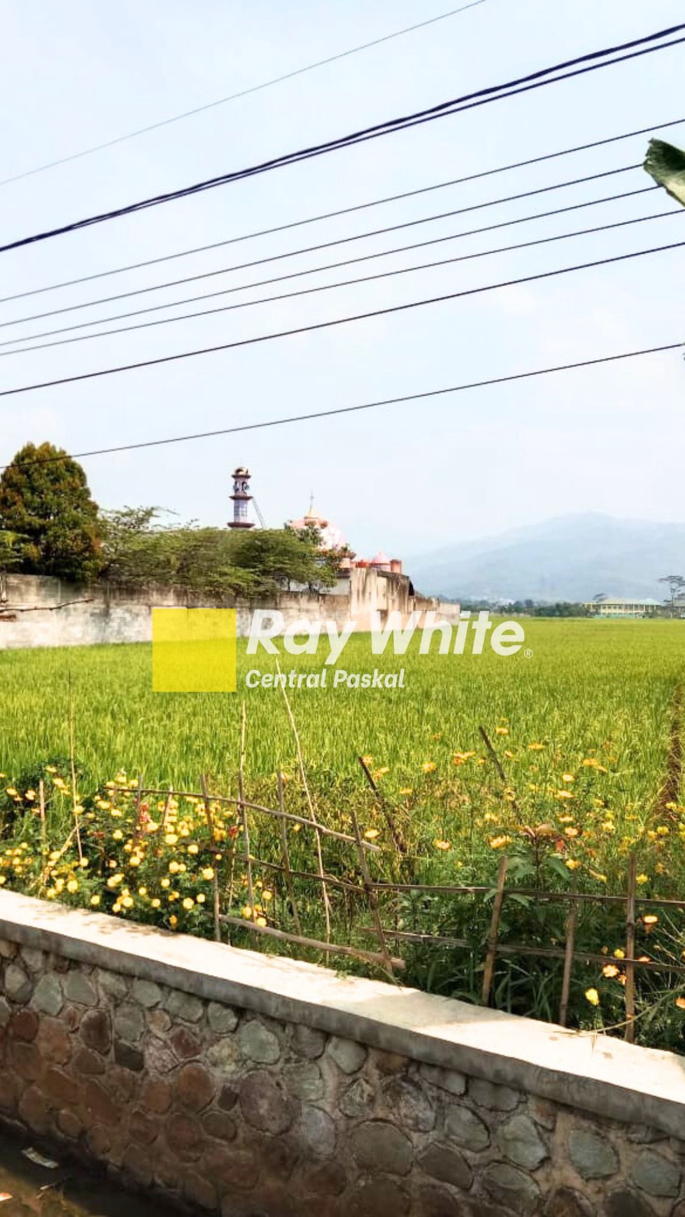 Tanah Sawah Strategis Di Mainroad Soreang Banjaran