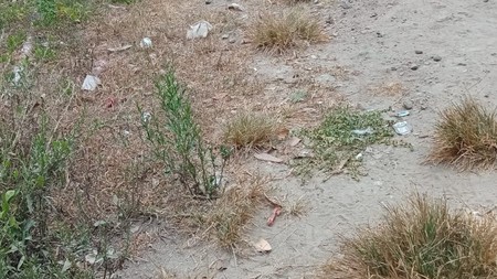 Tanah Luas 763 Meter Persegi Berada di Potorono Banguntapan Bantul 