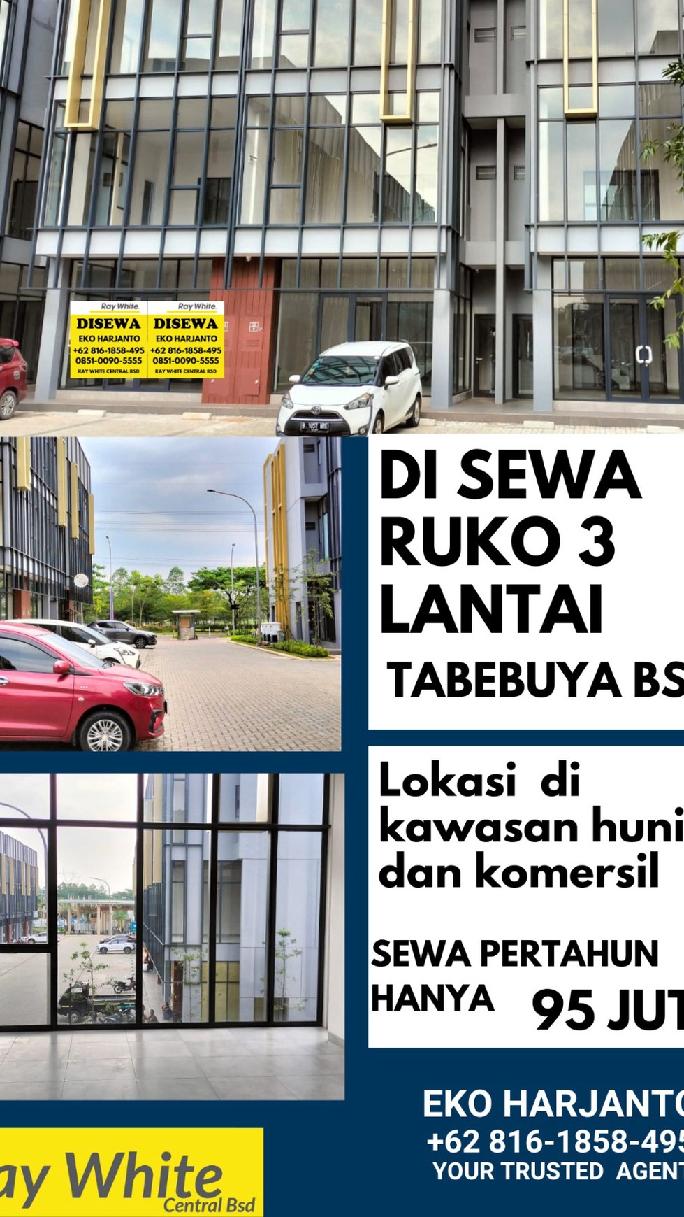 Disewakan Ruko Tabebuya di Kawasan Perumahan BSD yang Ramai dan Dekat dengan Kawasan Bisnis