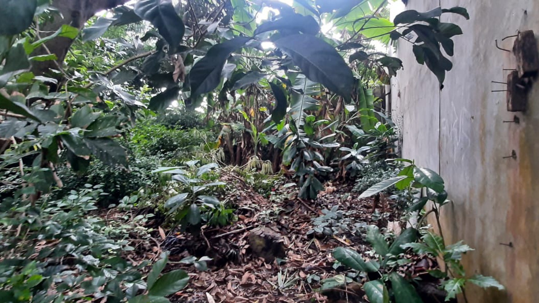 Kavling Bagus Diarea Komplek Deplu Pondok Aren Near Gatte Toll JORR