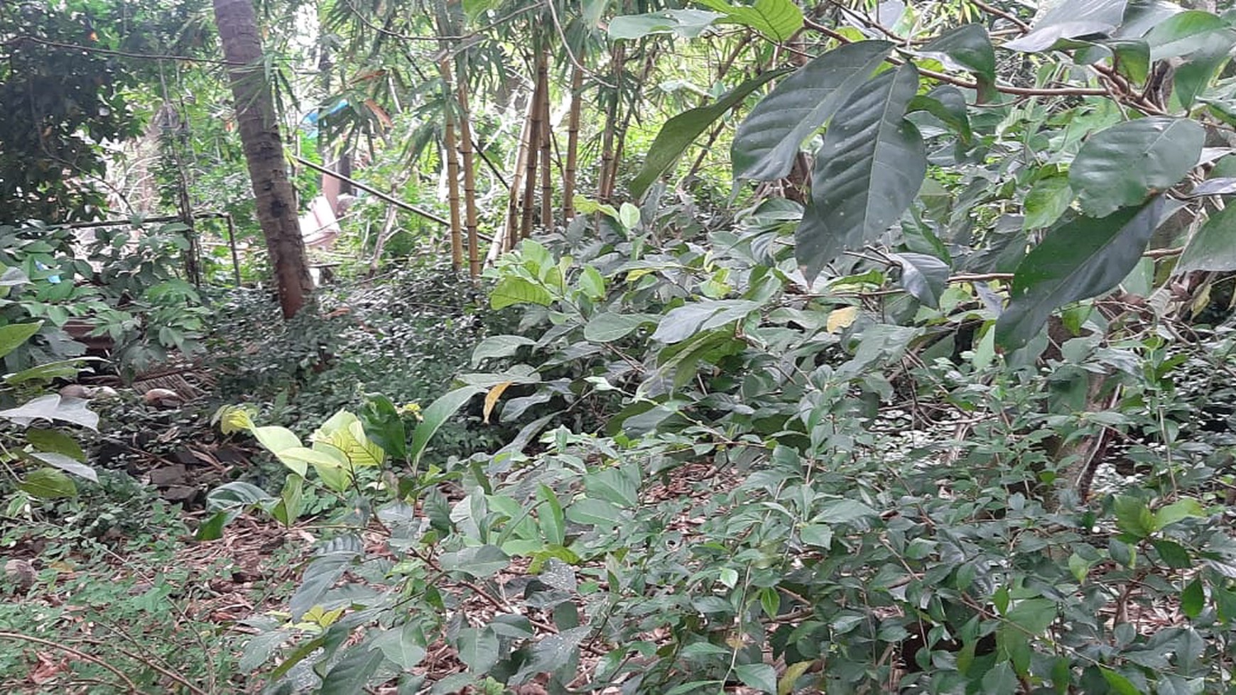 Kavling Bagus Diarea Komplek Deplu Pondok Aren Near Gatte Toll JORR