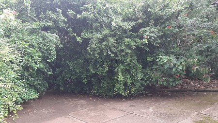 Kavling Bagus Diarea Komplek Deplu Pondok Aren Near Gatte Toll JORR