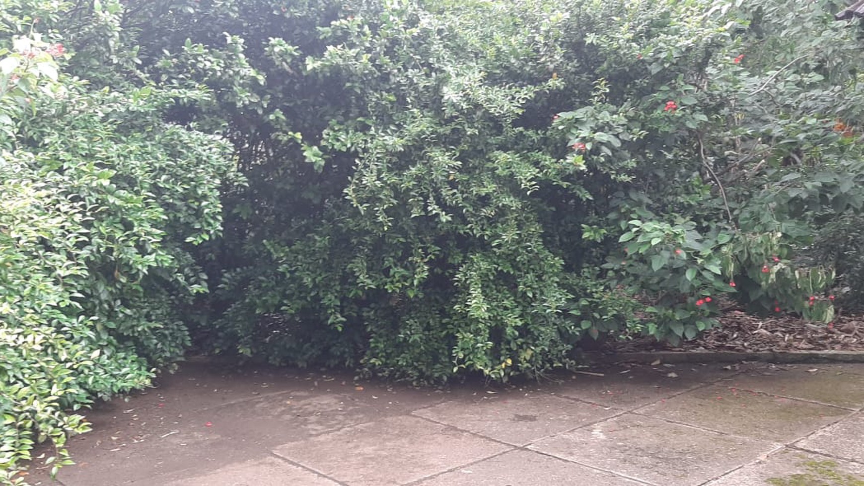 Kavling Bagus Diarea Komplek Deplu Pondok Aren Near Gatte Toll JORR