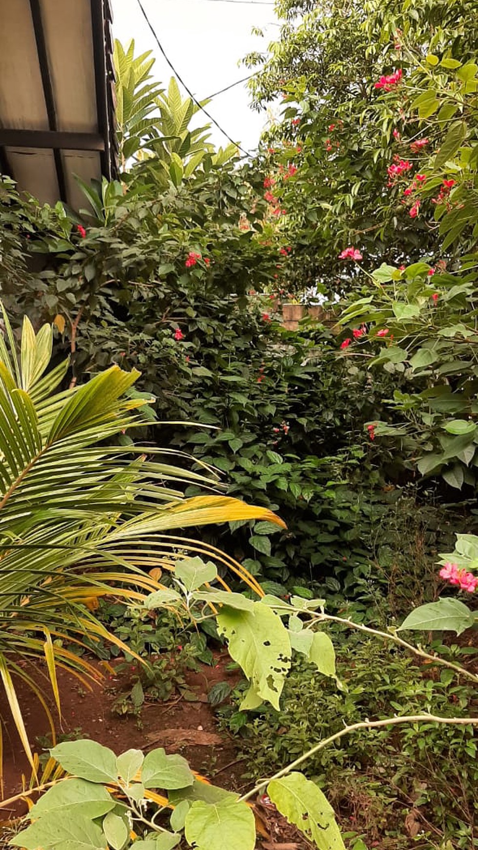 Kavling Bagus Diarea Komplek Deplu Pondok Aren Near Gatte Toll JORR