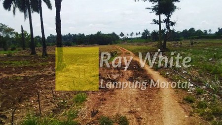 Dijual Tanah di Pesawaran, Lampung