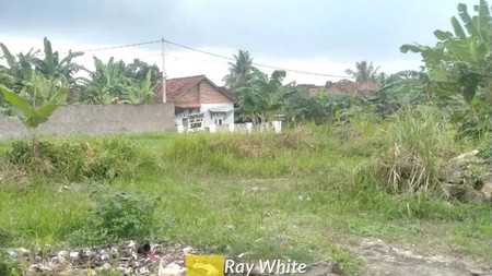 Dijual Tanah di Natar