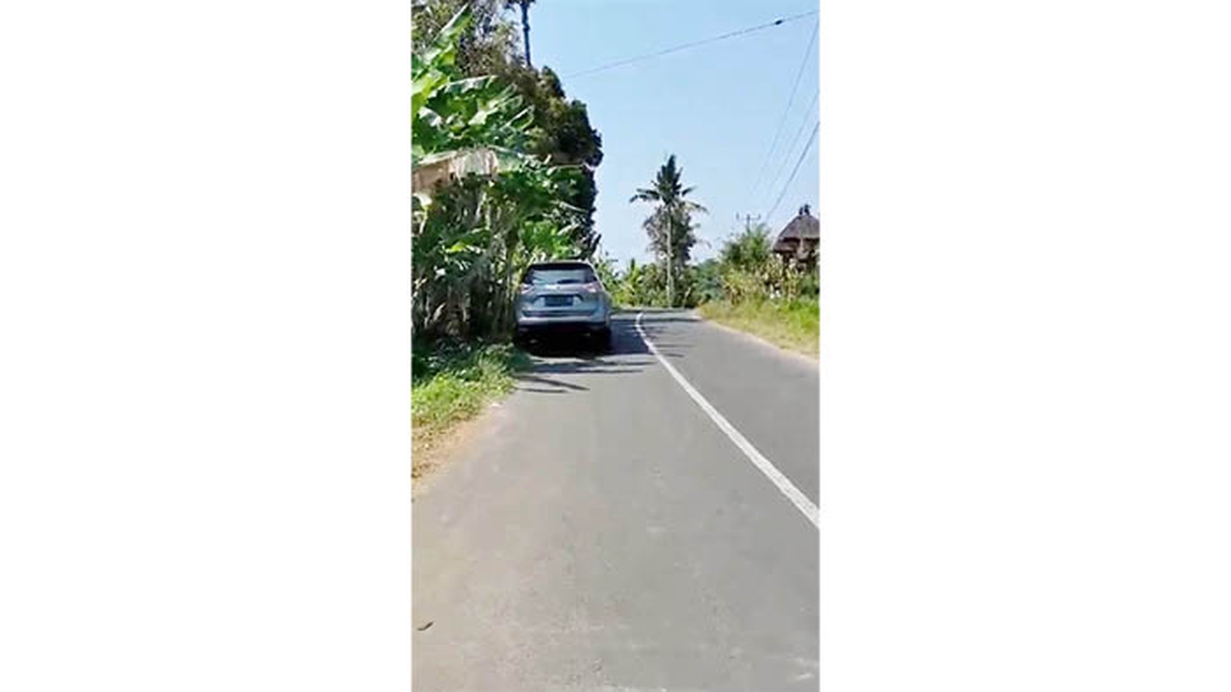 Kavling Kebun Raya Gianyar Bali, Luas 1500m2