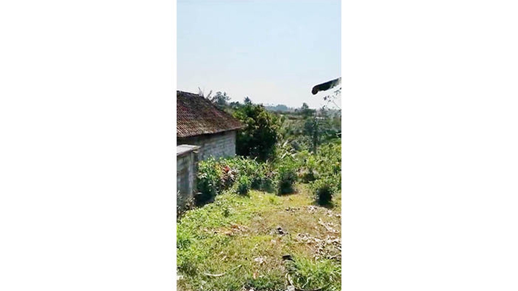 Kavling Kebun Raya Gianyar Bali, Luas 1500m2