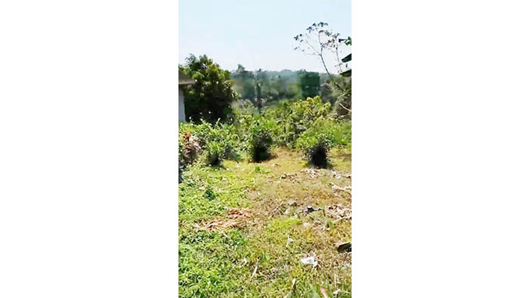 Kavling Kebun Raya Gianyar Bali, Luas 1500m2