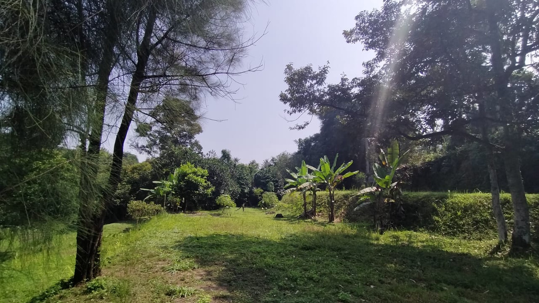 Tanah Puncak 4Ha, Cocok untuk bangun Hotel Mewah. Lokasi Bagus