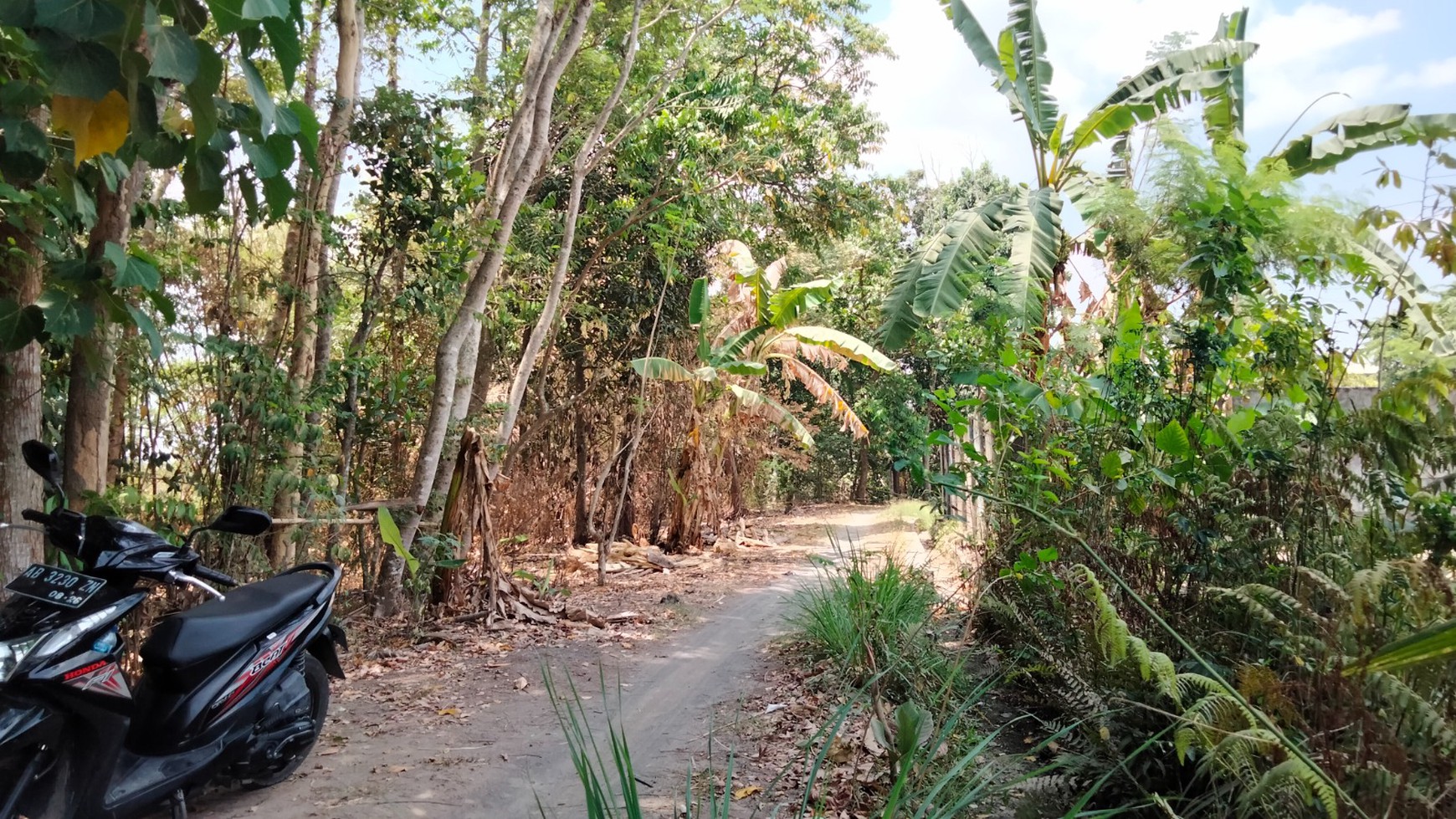 Tanah Sawah Luas 744 Meter Persegi Lokasi Berbah Sleman 