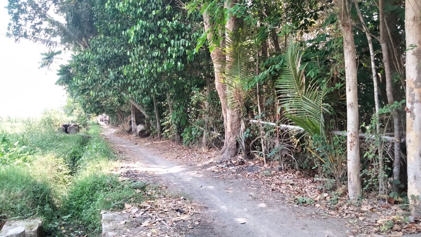 Tanah Sawah Luas 744 Meter Persegi Lokasi Berbah Sleman 