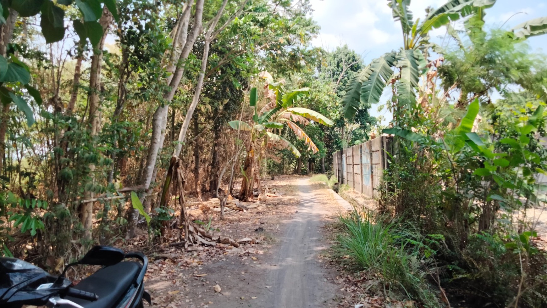 Tanah Sawah Luas 744 Meter Persegi Lokasi Berbah Sleman 