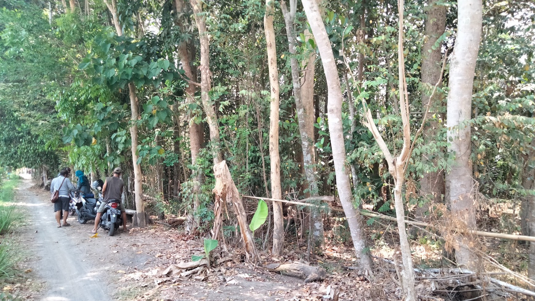 Tanah Sawah Luas 744 Meter Persegi Lokasi Berbah Sleman 