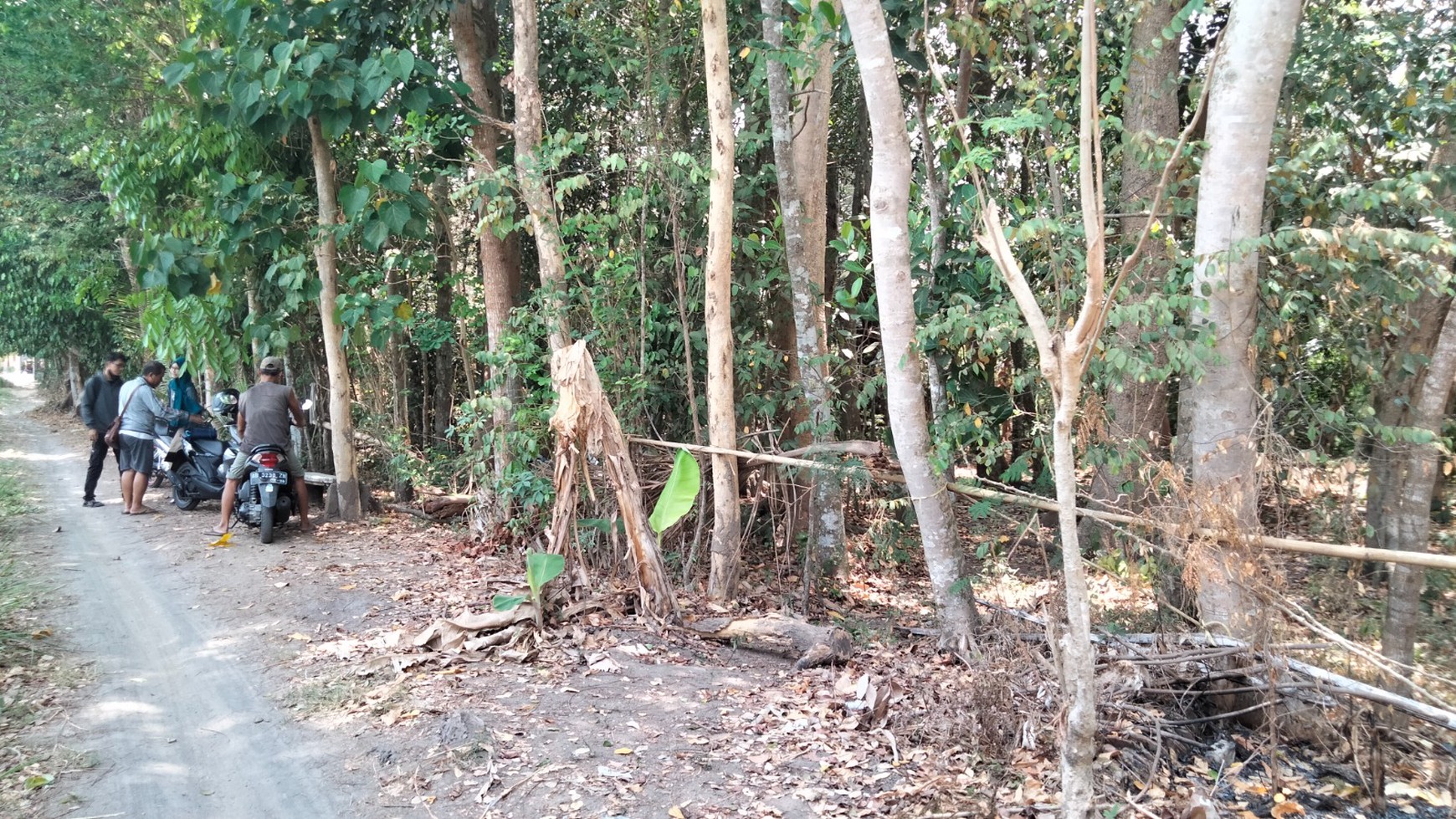 Tanah Sawah Luas 744 Meter Persegi Lokasi Berbah Sleman 