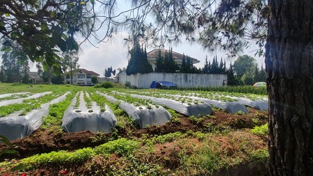 Tanah Siap Bangun Lokasi Strategis di Daerah Lembang