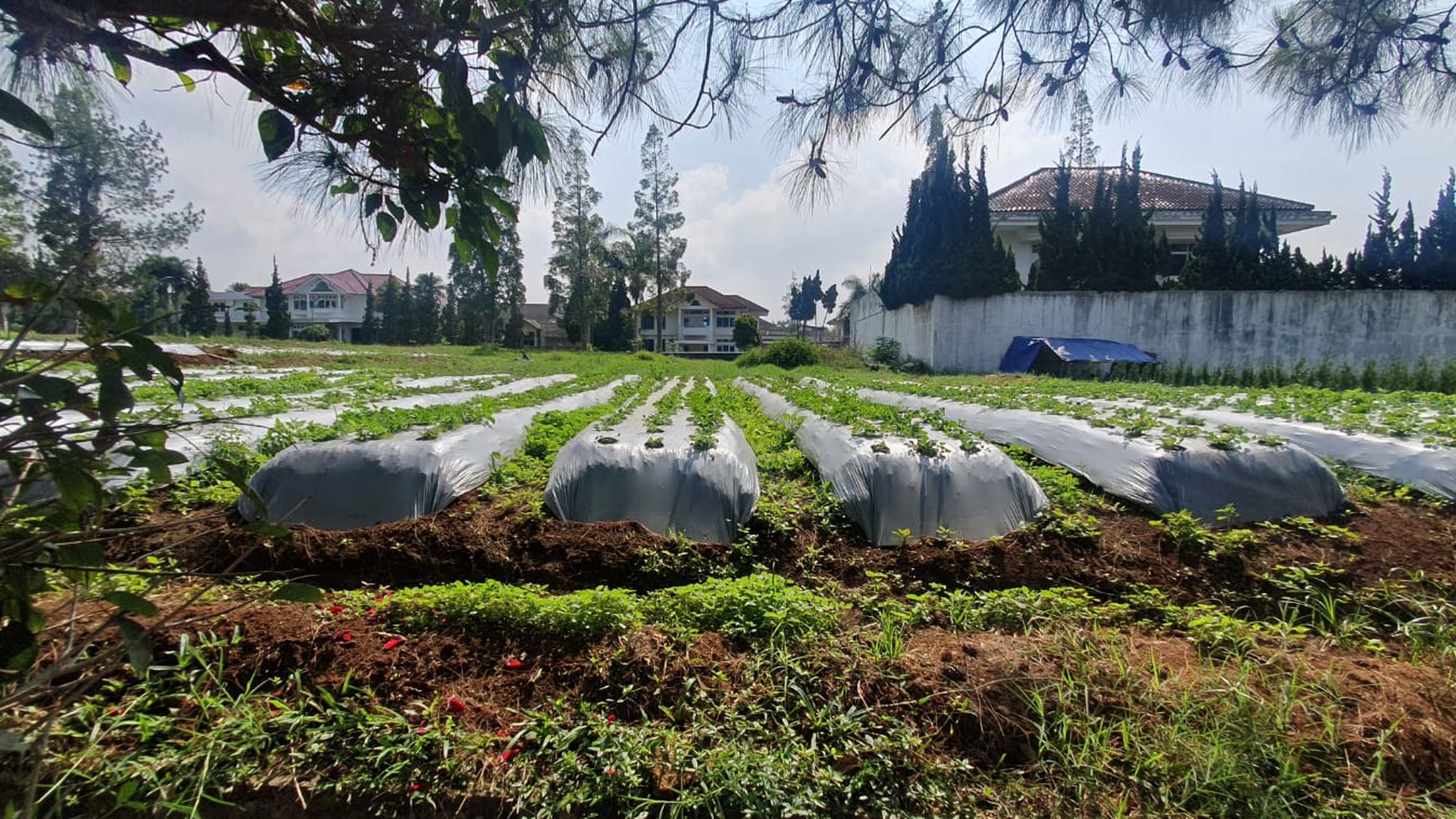 Tanah Siap Bangun Lokasi Strategis di Daerah Lembang