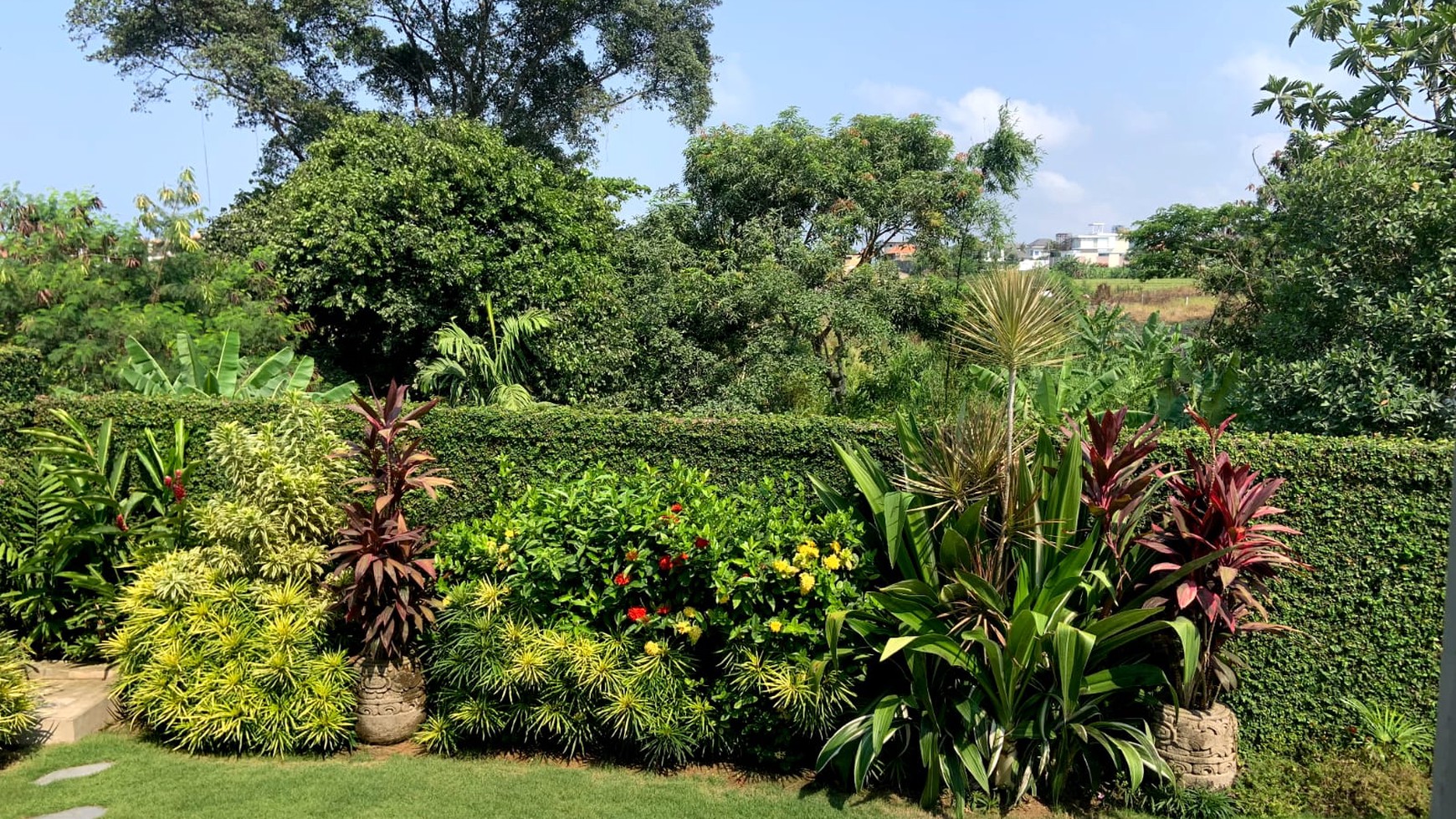  villa with views of rice fields in Canggu, Berawa