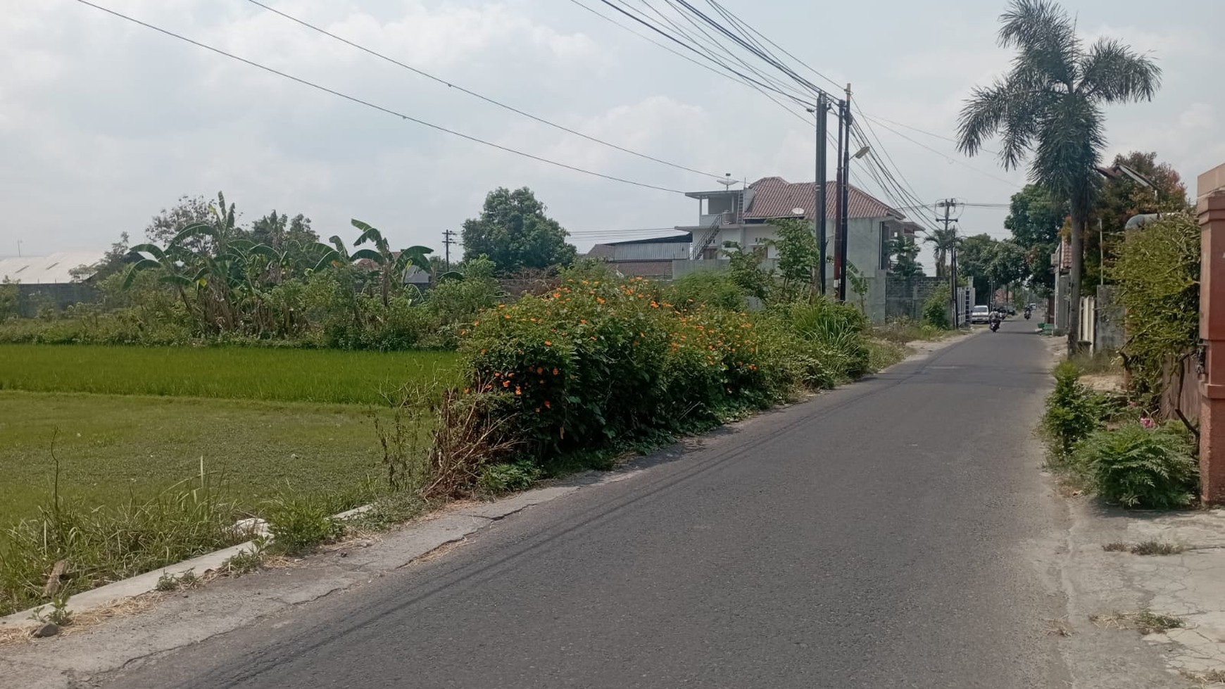 Tanah Sawah Luas 250 Meter Persegi Lokasi Sewon Bantul