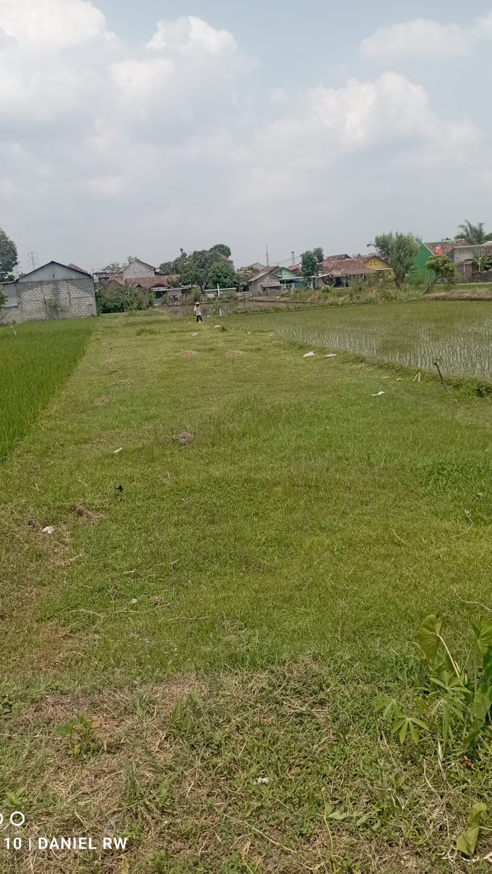 Tanah Sawah Luas 250 Meter Persegi Lokasi Sewon Bantul